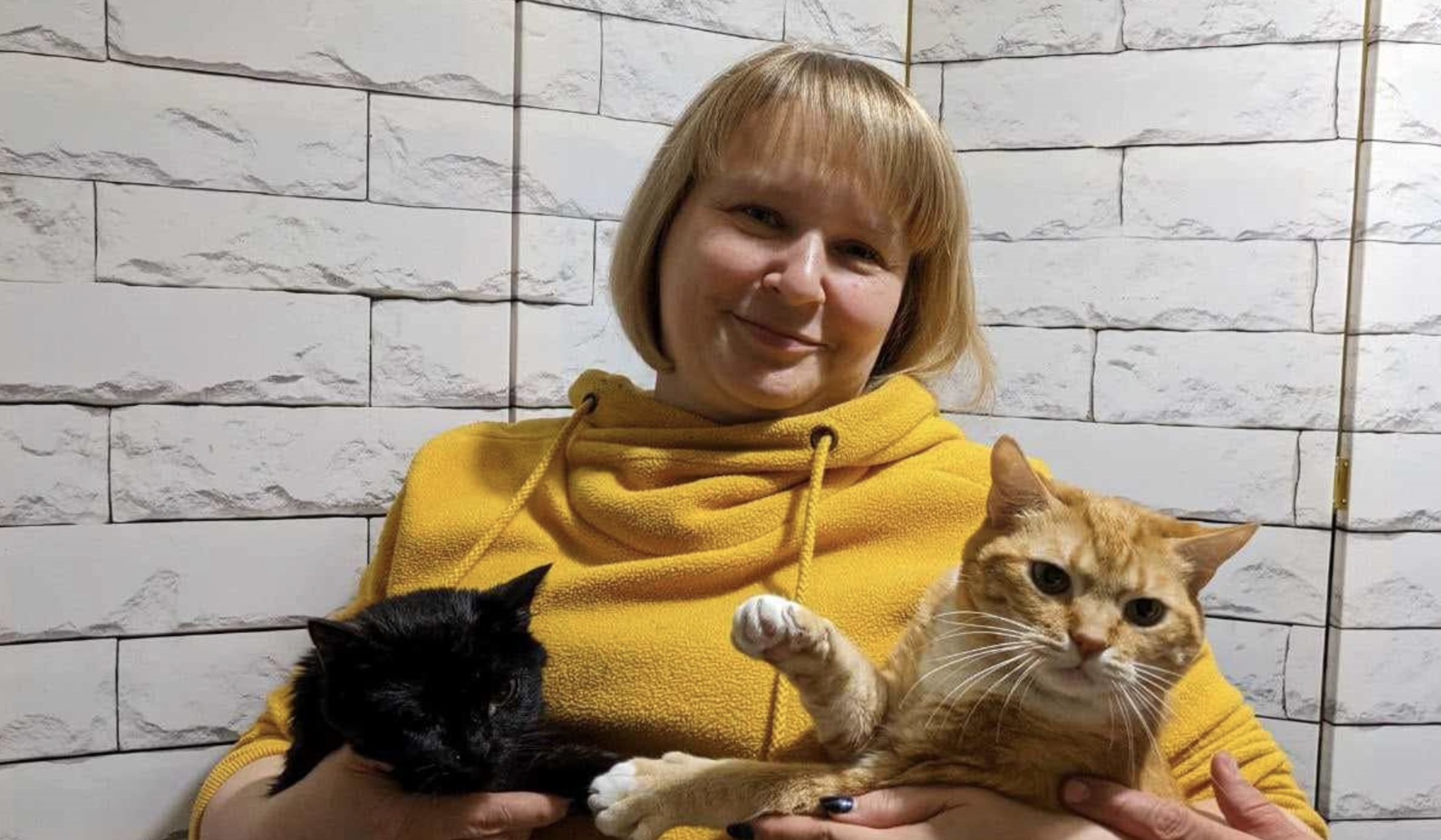 Zubar-and-her-cats