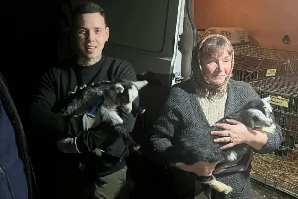 UAnimals призупиняє прийом заявок на евакуацію тварин