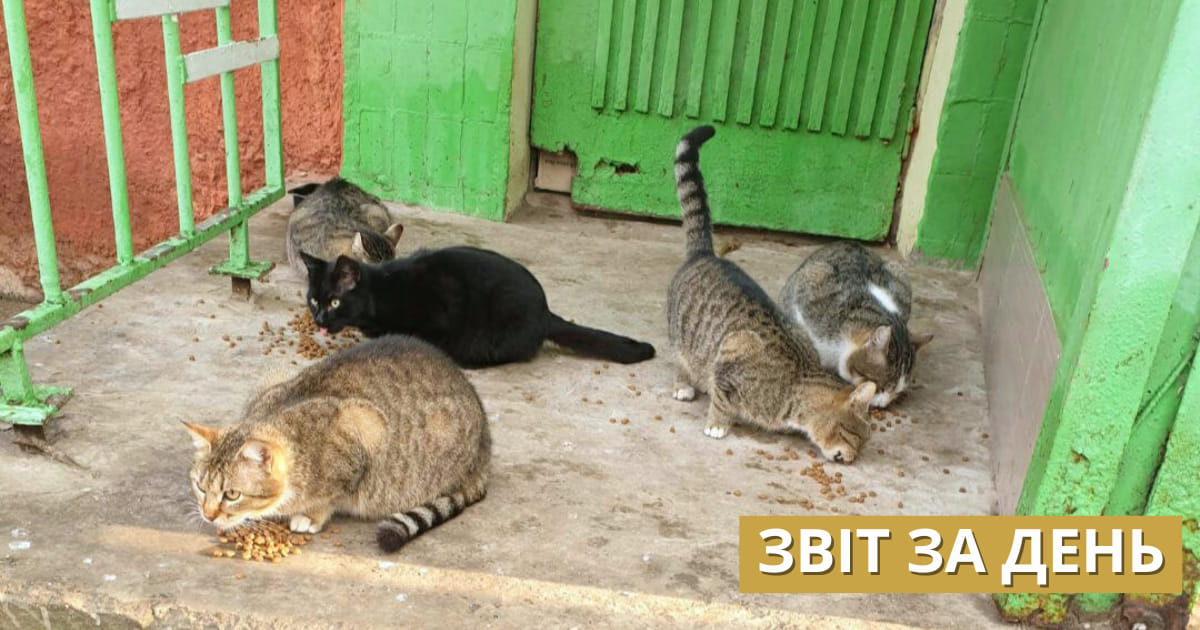 774 день повномасштабної війни
