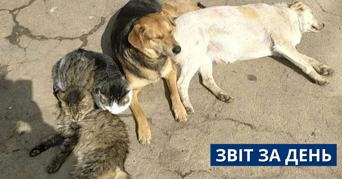 778 день повномасштабного вторгнення.