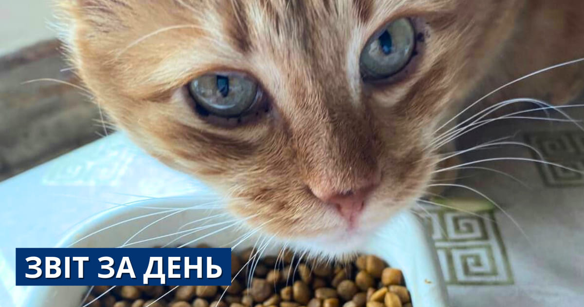 770 день повномасштабної війни