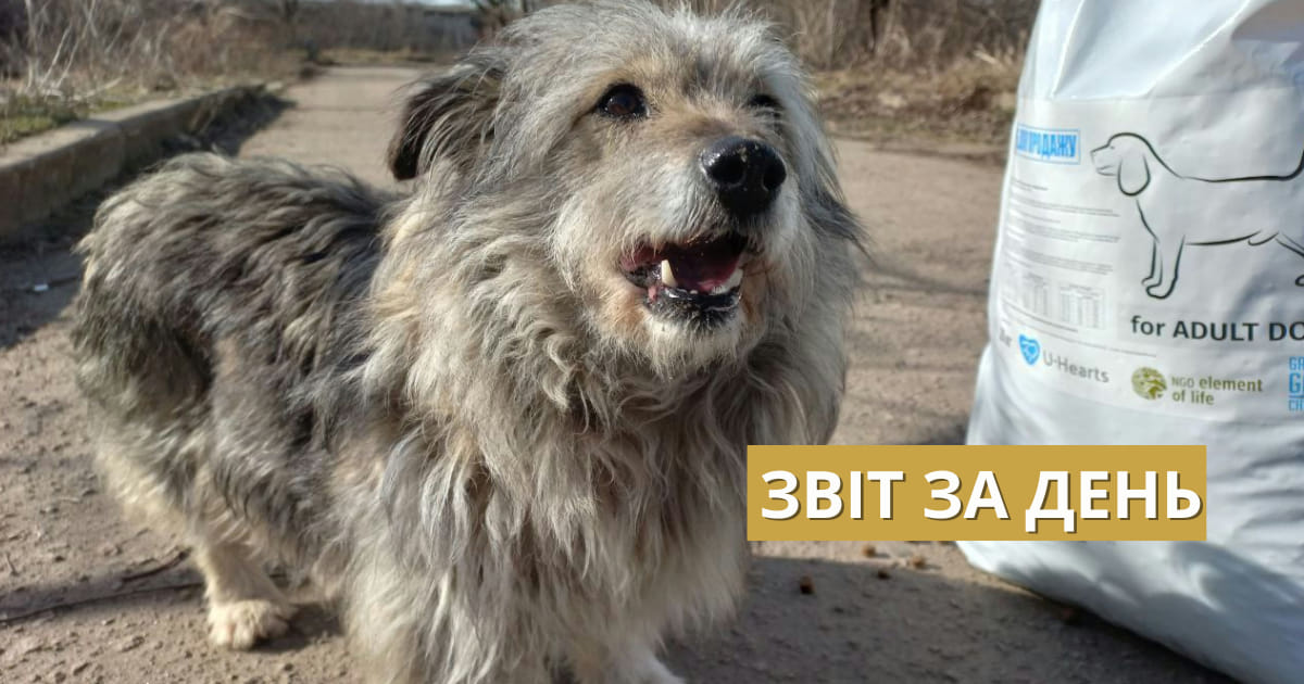 📌780 день повномасштабного вторгнення
