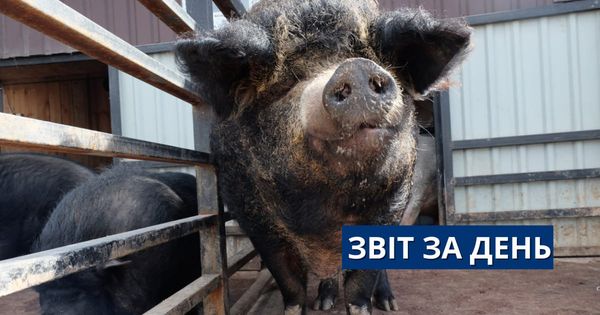 776 день повномасштабного вторгнення
