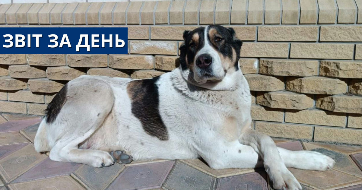 📌781 день повномасштабного вторгнення