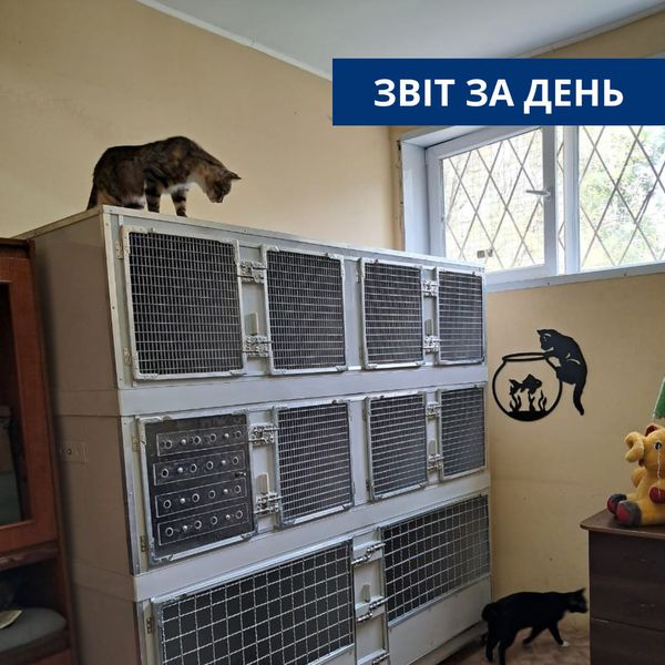 📌785 день повномасштабного вторгнення