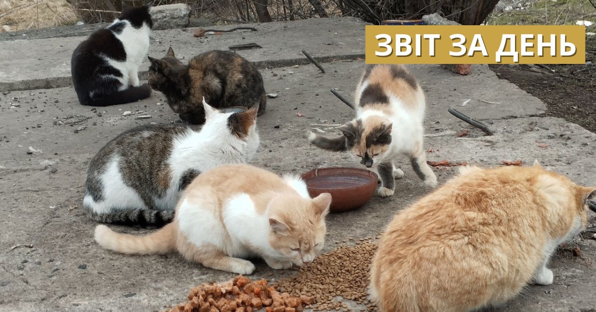 📌 782 день повномасштабного вторгнення