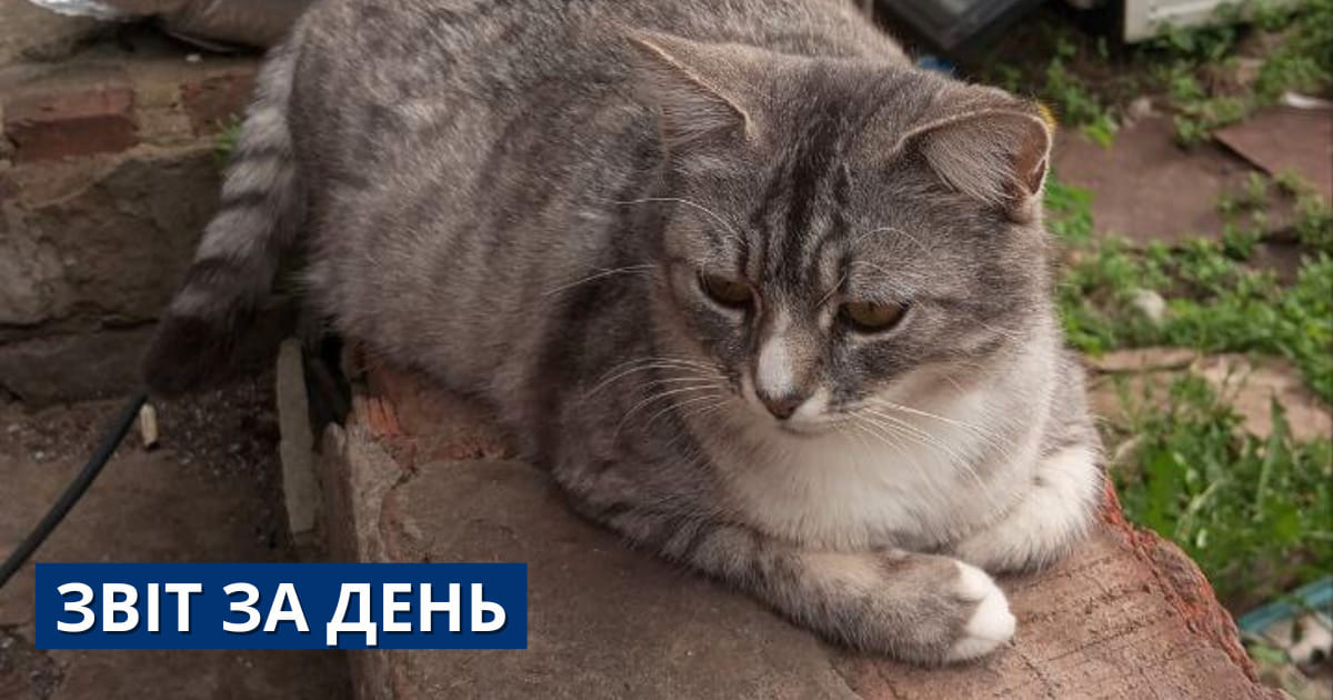 790 день повномасштабного вторгнення