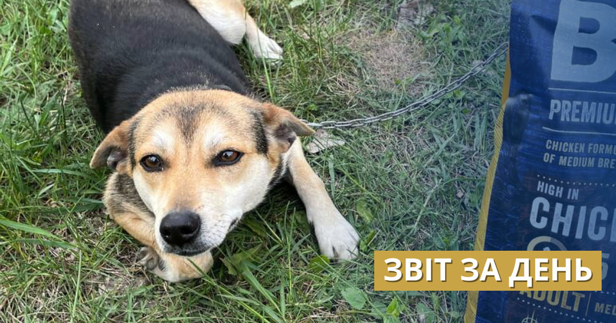 793 день повномасштабного вторгнення