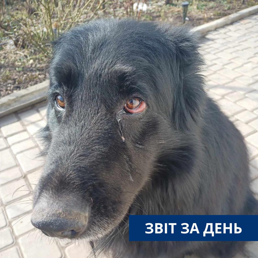 794 день повномасштабного вторгнення