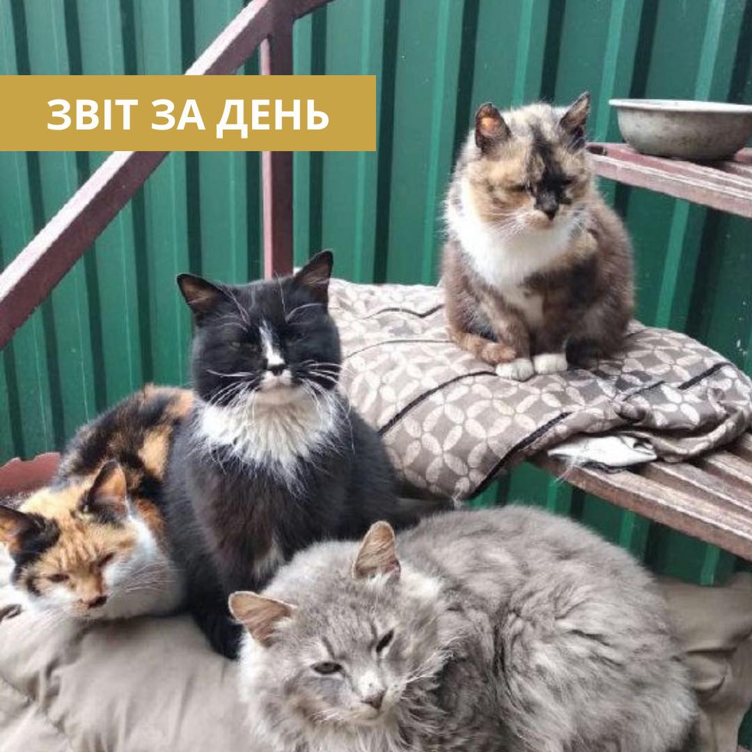 801 день повномасштабного вторгнення