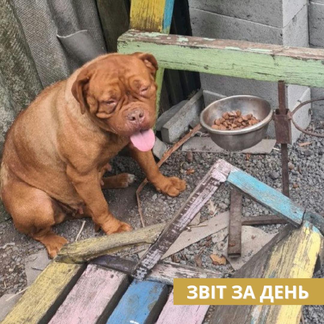 802 день повномасштабного вторгнення
