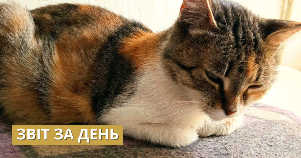 796 день повномасштабного вторгнення