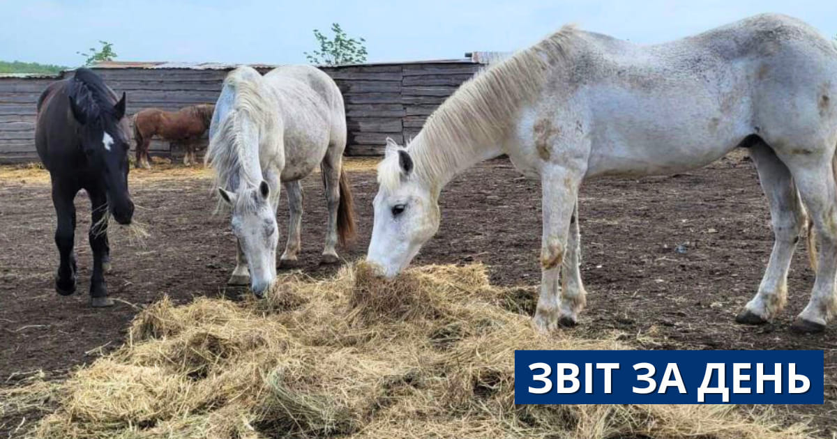 798 день повномасштабного вторгнення
