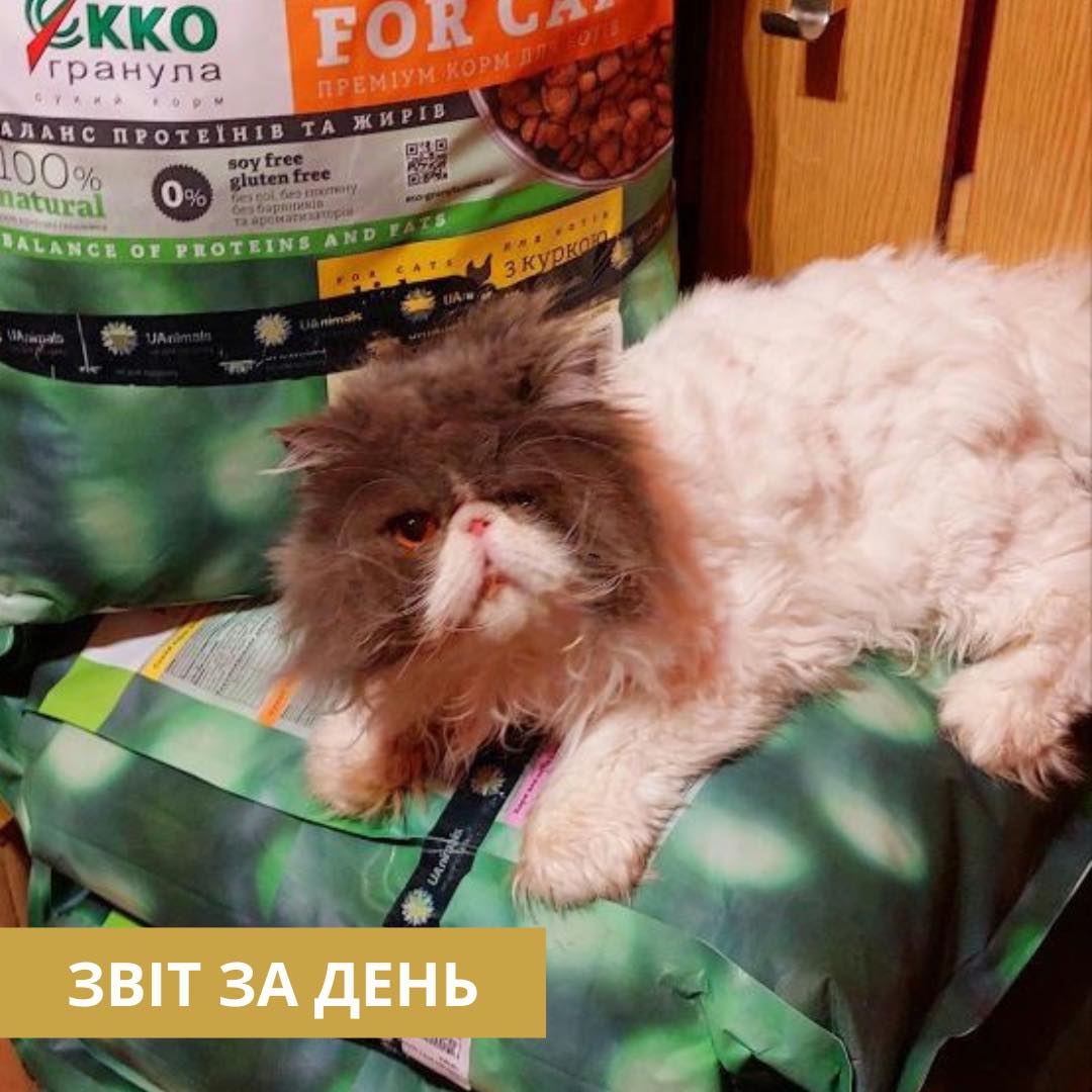 795 день повномасштабного вторгнення