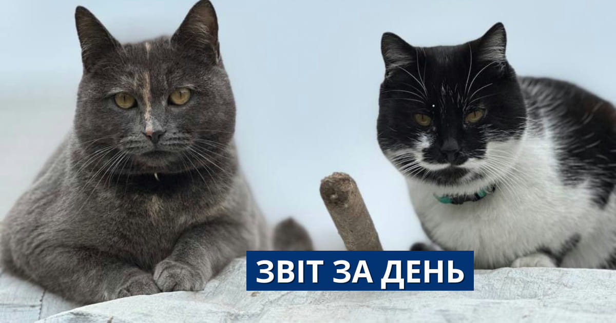📌804 день повномасштабного вторгнення