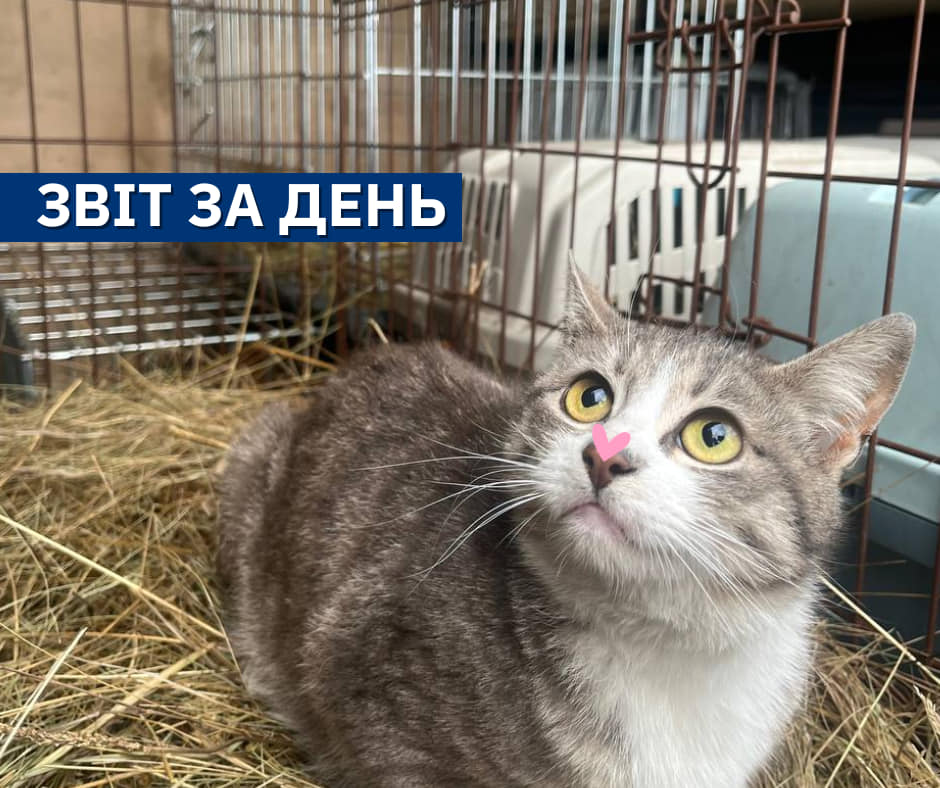 📌815 день повномасштабного вторгнення