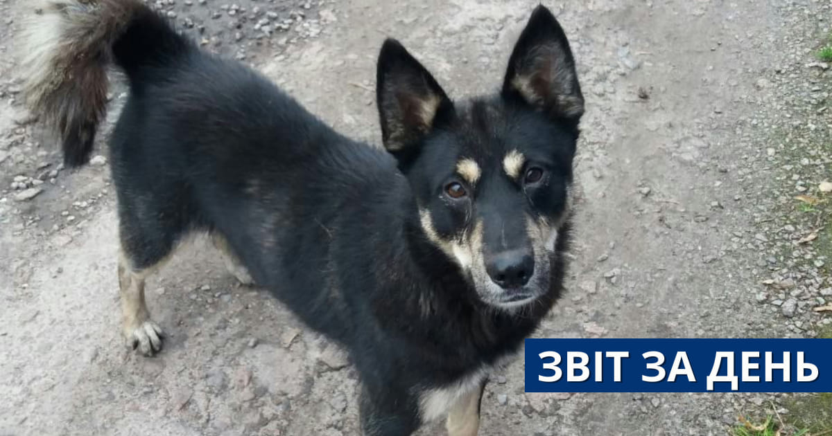 📌805 день повномасштабного вторгнення