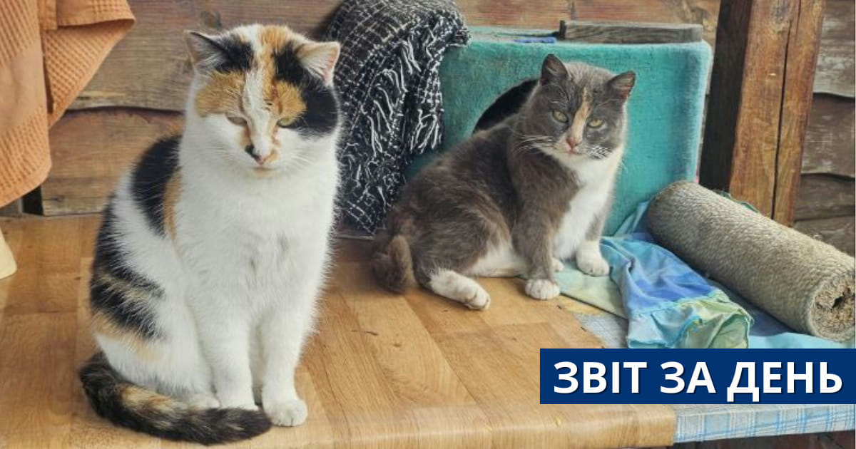 📌806 день повномасштабного вторгнення