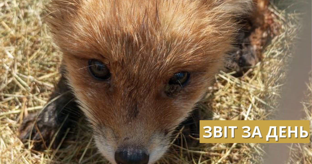 📌819 день повномасштабного вторгнення