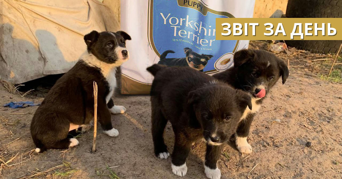 📌821 день повномасштабного вторгнення