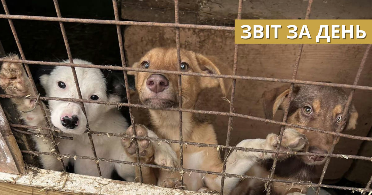 📌818 день повномасштабного вторгнення