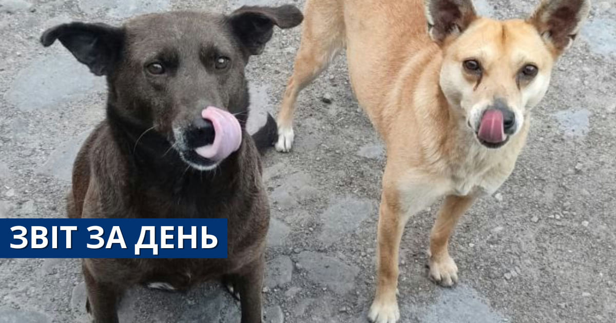 📌822 день повномасштабного вторгнення.