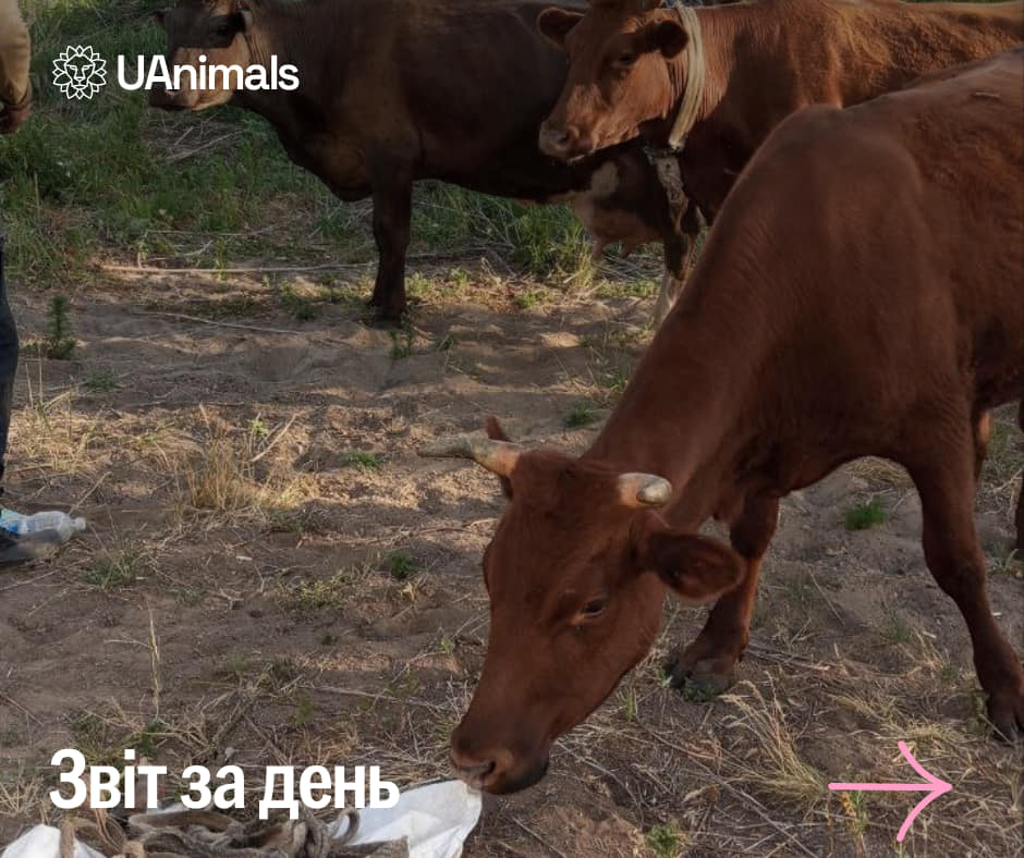 📌827 день повномасштабного вторгнення.