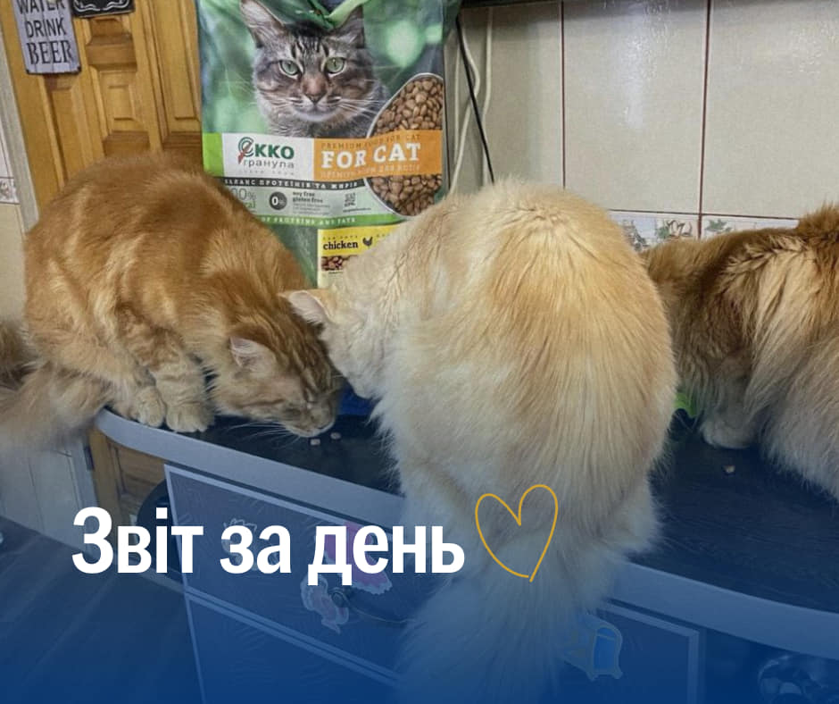 📌826 день повномасштабного вторгнення
