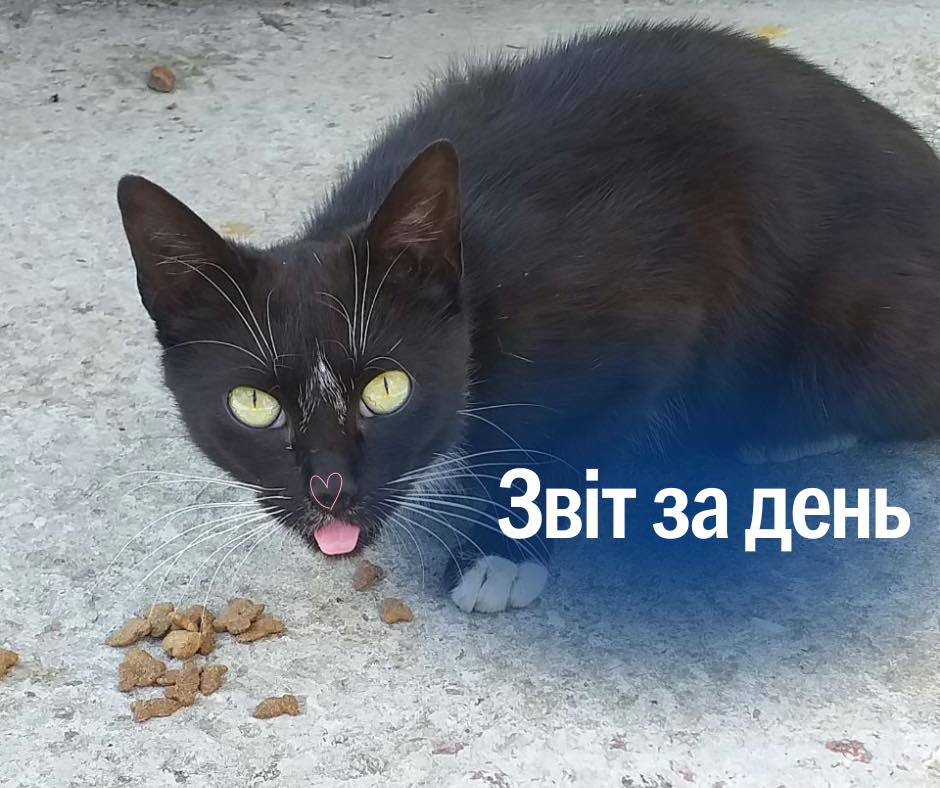 Сьогодні 830 день повномасштабного вторгнення