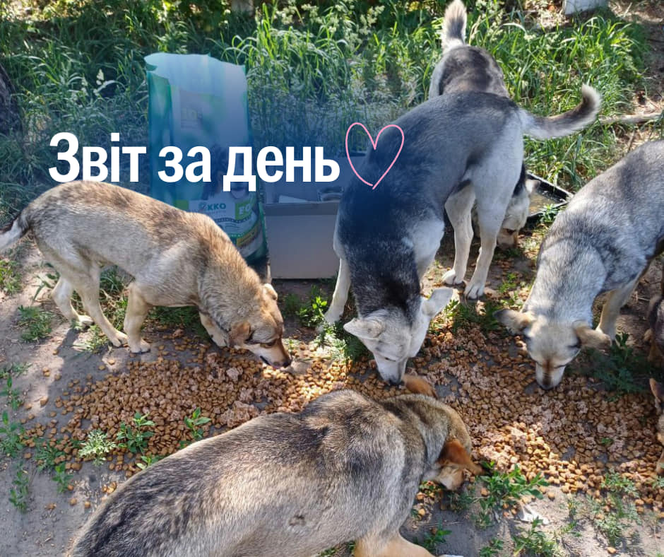 Сьогодні 829 день повномасштабного вторгнення