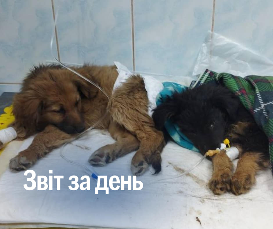 📌835 день повномасштабного вторгнення