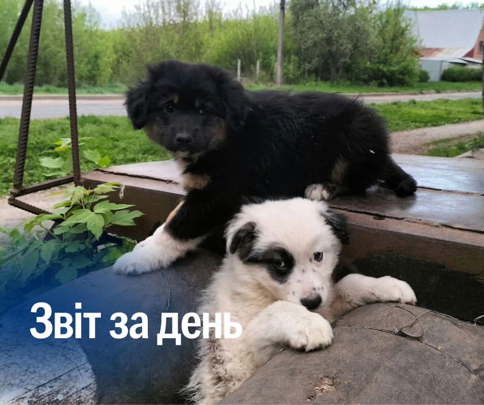 📌831 день повномасштабного вторгненням