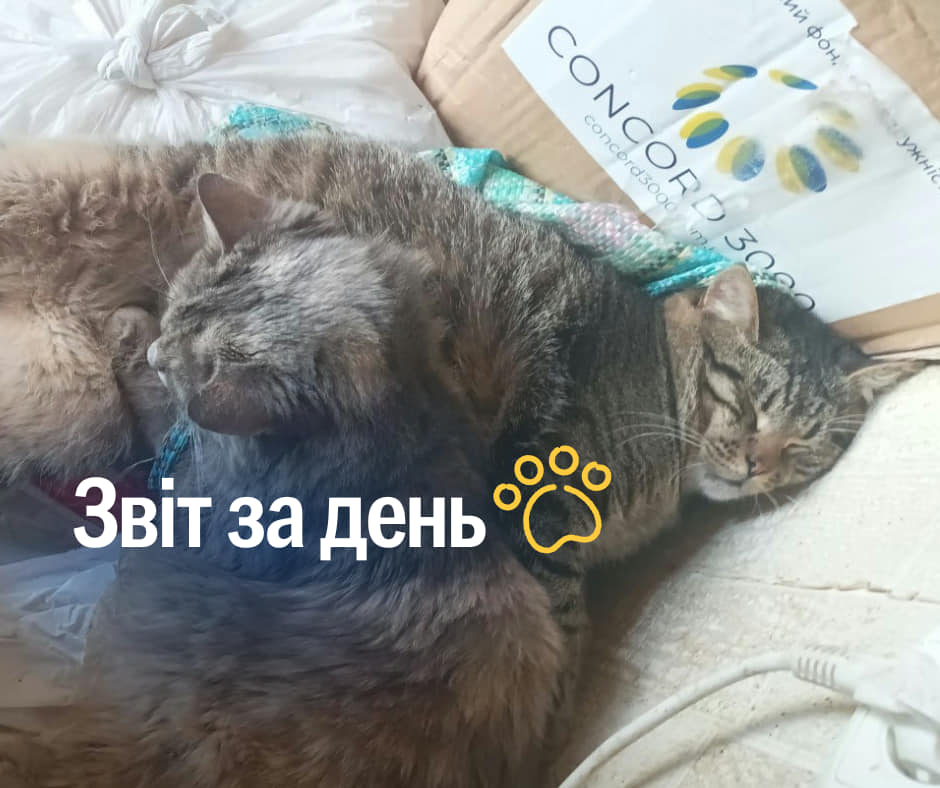 📌838 день повномасштабного вторгнення
