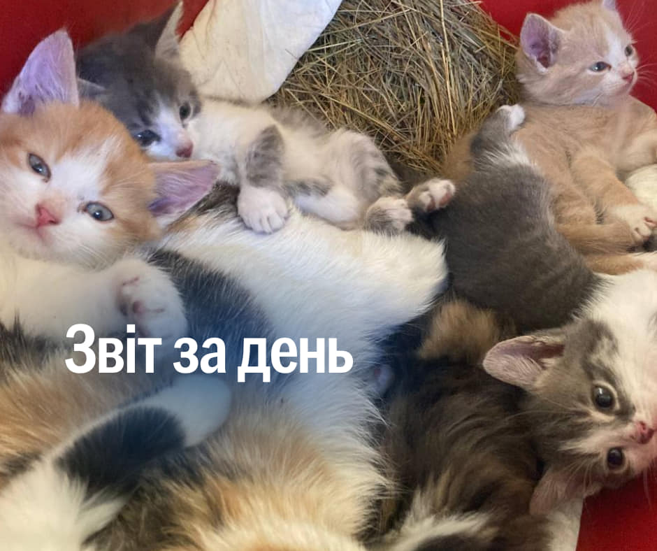 📌 842 день повномасштабного вторгнення