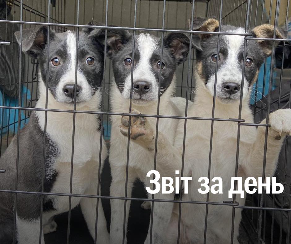 📌 844-й день повномасштабного вторгнення