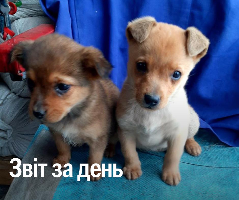 📌 843 день повномасштабного вторгнення