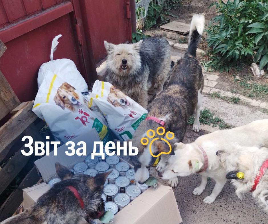 850 день повномасштабного вторгнення