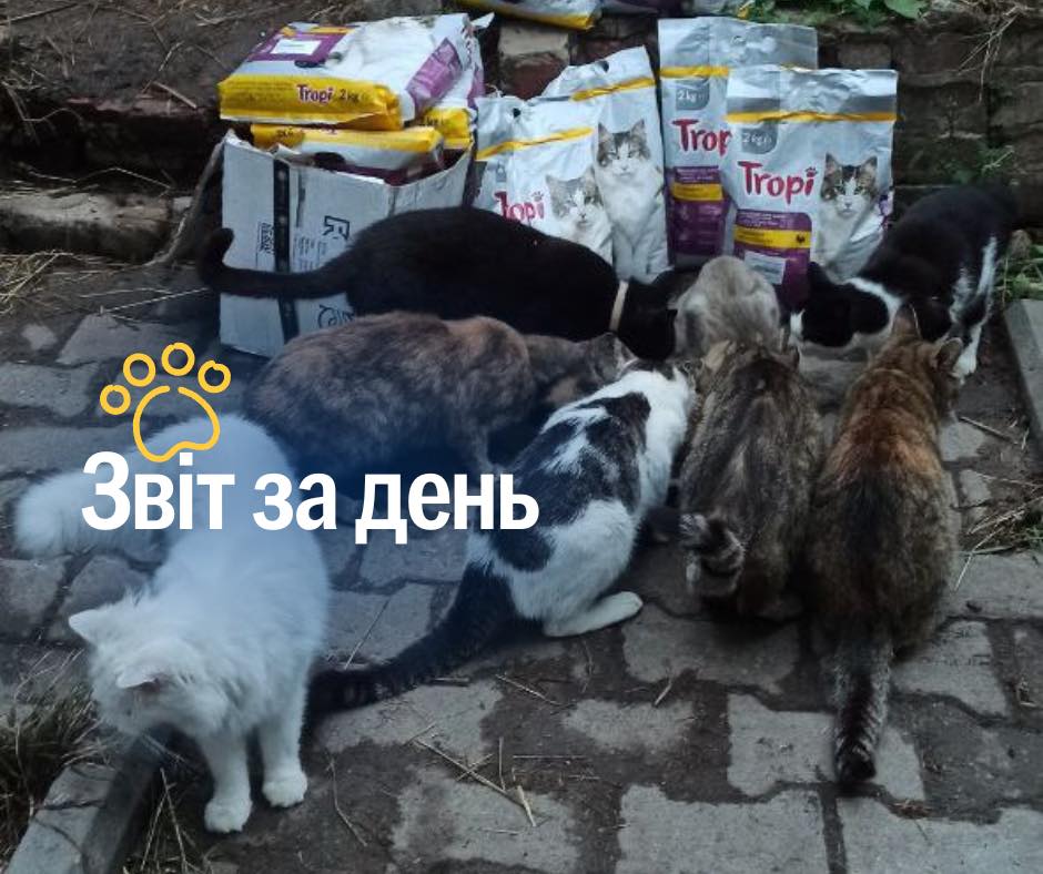 851  день повномасштабного вторгнення