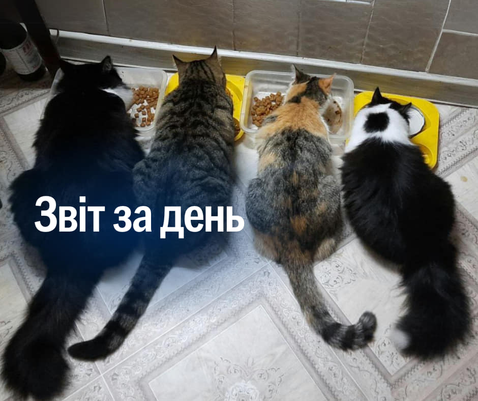 📌 854 день повномасштабного вторгнення