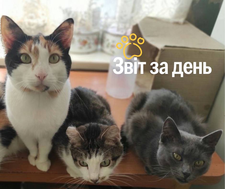 857 день повномасштабного вторгнення