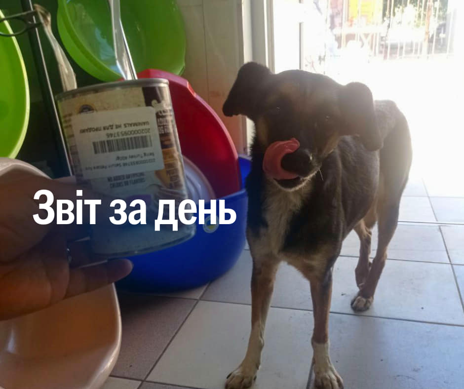 📌 856 день повномасштабного вторгнення