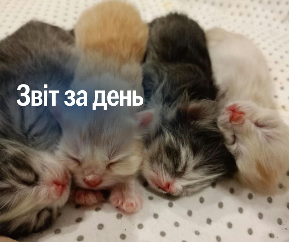 📌 855 день повномасштабного вторгнення