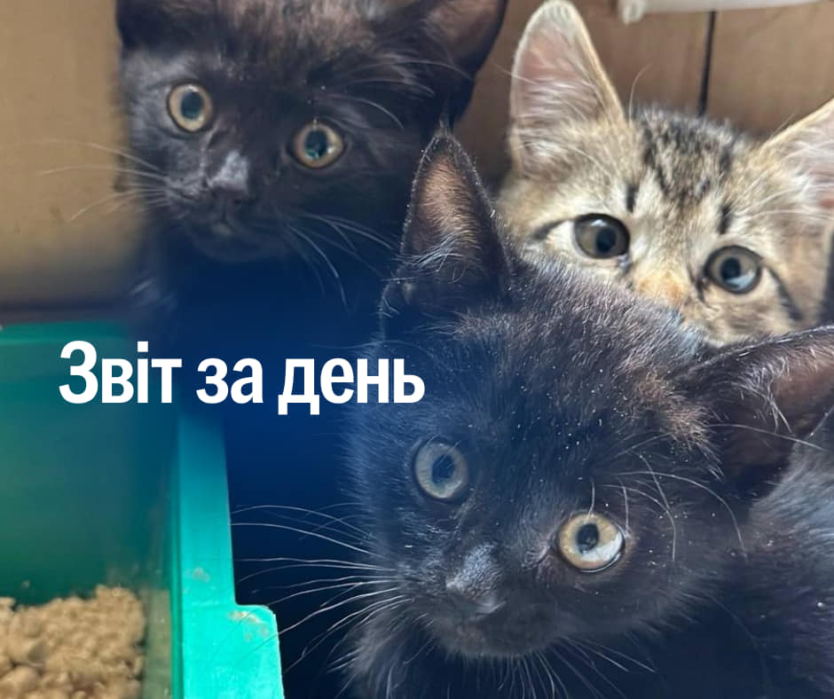 📌 860 день повномасштабного вторгнення