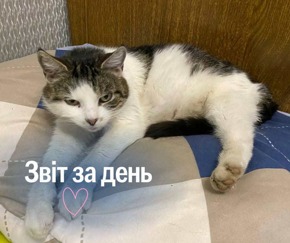 858 день повномасштабного вторгнення росії в Україну