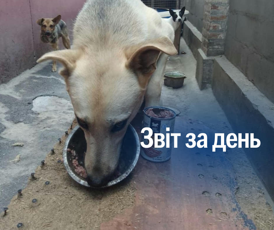 📌 864 день повномасштабного вторгнення