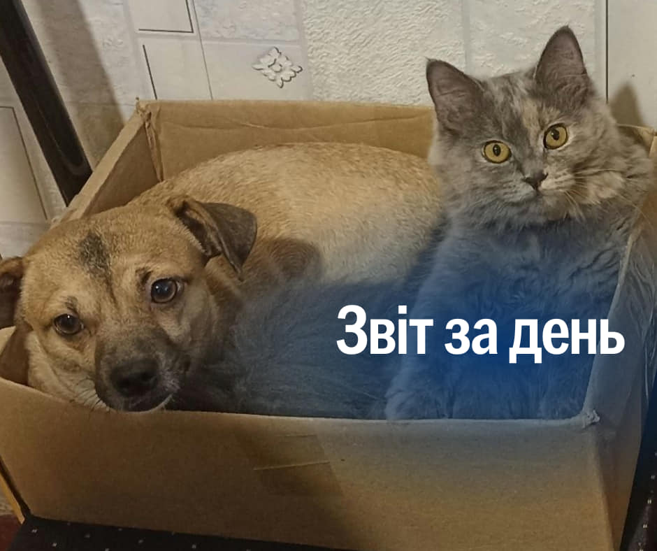 📌 865 день повномасштабного вторгнення