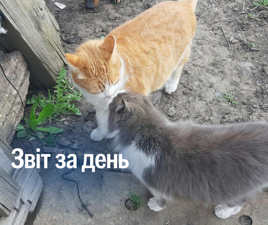 📌867 день повномасштабного вторгнення