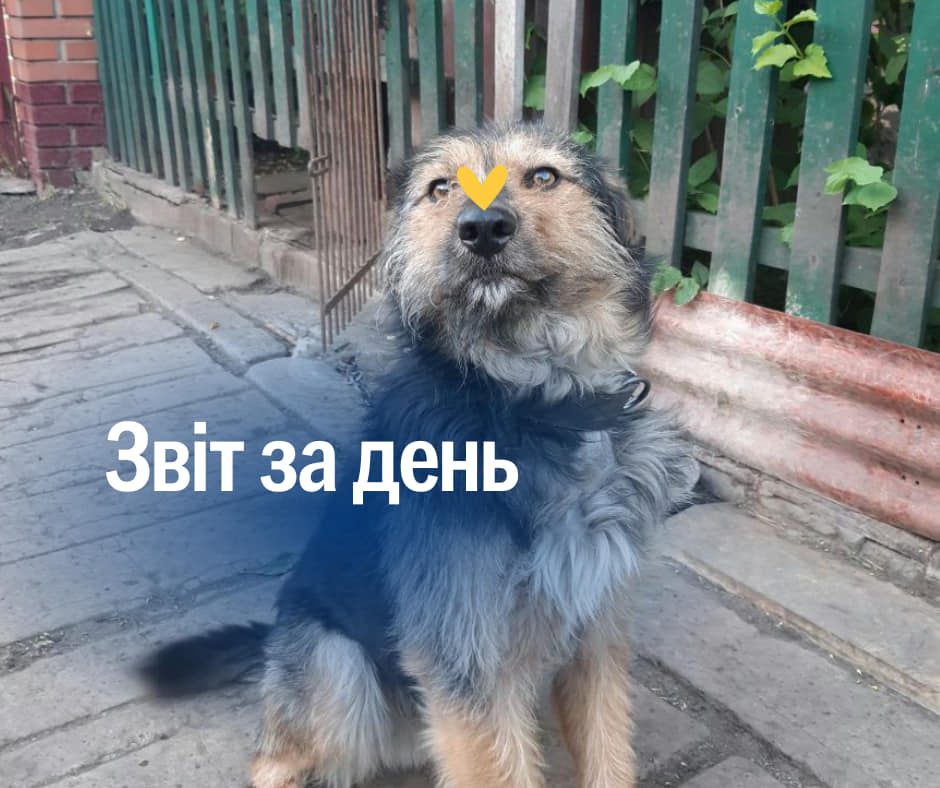 📌 870 день повномасштабного вторгнення