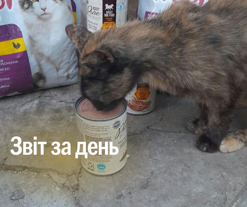 📌 871 день повномасштабного вторгнення
