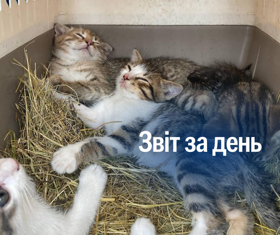 📌 869 день повномасштабного вторгнення